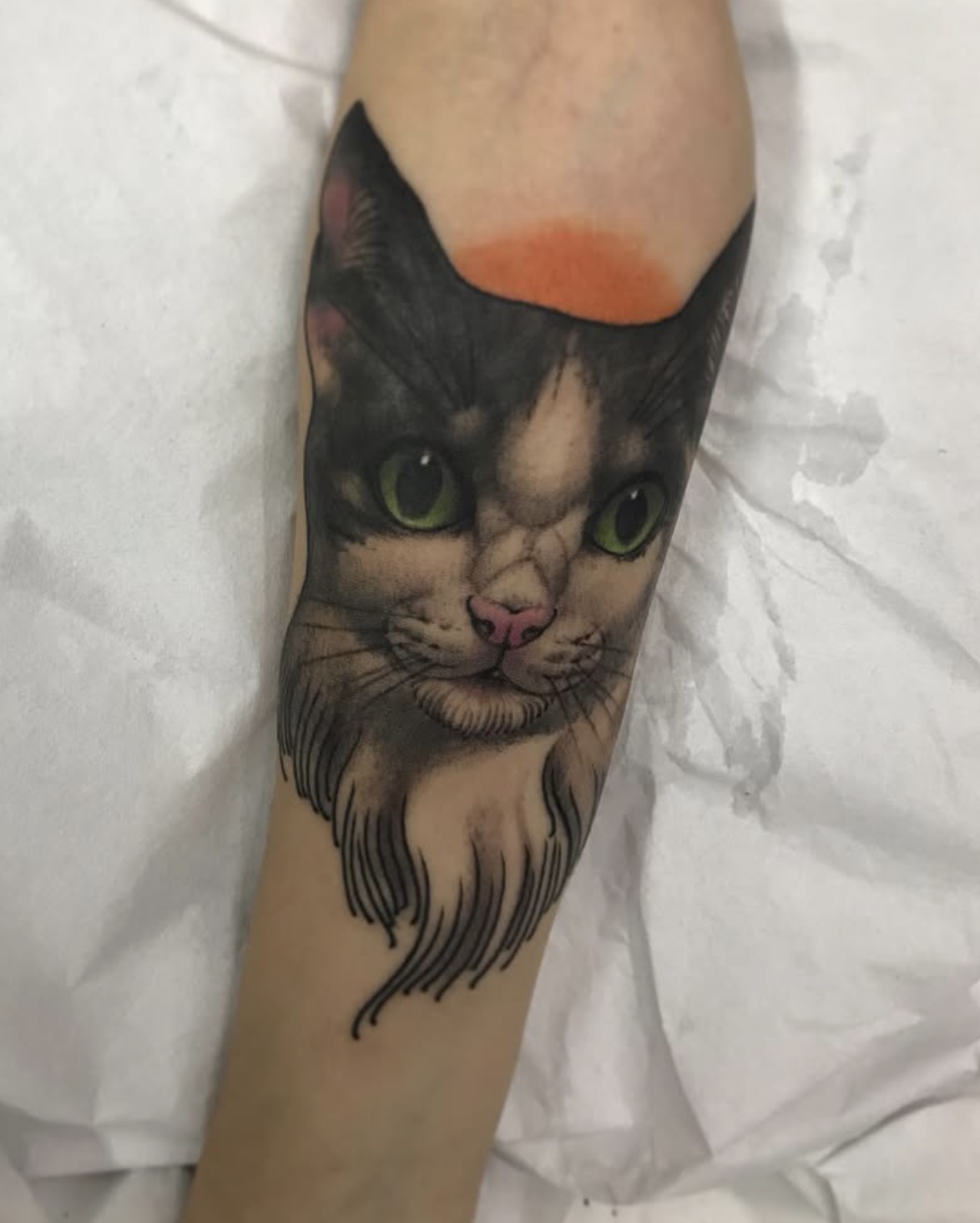 Conseptual Biel Tattoo